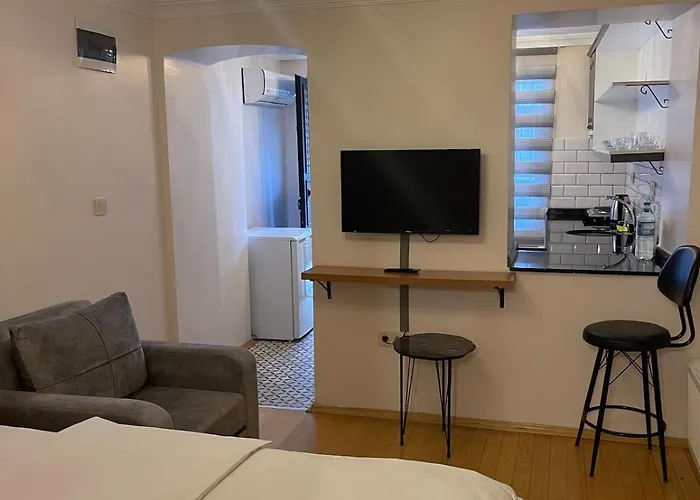 아파트 Ozcans Pera Flats 9 *